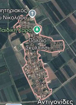 Parcel 21.000sqm for sale-Antigonides » Palaio Skillitsi
