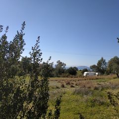 Αγροτεμάχια 6.250 τ.μ. για πώληση, Αργολίδα, Κρανίδι-thumb-3
