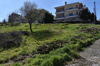 Οικόπεδο 291 τ.μ. για πώληση, Ν. Ιωαννίνων, Ιωάννινα-thumb-19