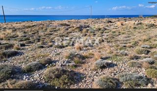 Οικόπεδο 8.400 τ.μ. για πώληση, Ν. Λασιθίου, Λεύκη-thumb-1