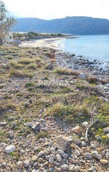 Οικόπεδο 8.400τ.μ. για πώληση-Λεύκη » Γούδουρας