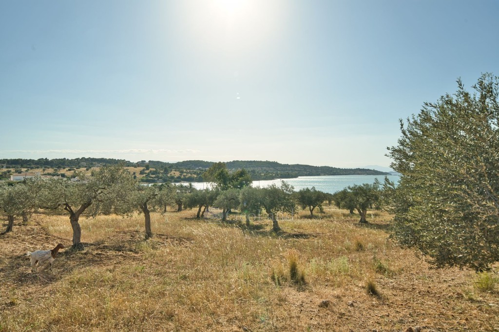 Διαμέρισμα 140 τ.μ. προς πώληση, Πορτοχέλι