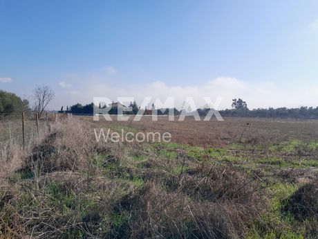 Αγροτεμάχια 4.322τ.μ. για πώληση-Θέρμη » Αγία παρασκευή