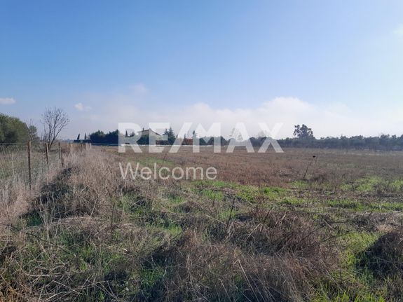 Αγροτεμάχια 4.322 τ.μ. για πώληση, Θεσσαλονίκη - Περιφ/Κοί Δήμοι, Θέρμη