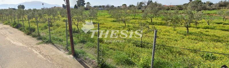 Οικόπεδο 240 τ.μ. προς πώληση, Παραλία Πολιτικών