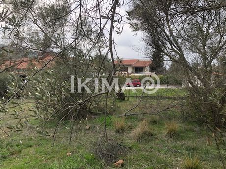 Parcel 5.030 sqm for sale