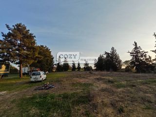Αγροτεμάχια 4.880 τ.μ. για πώληση