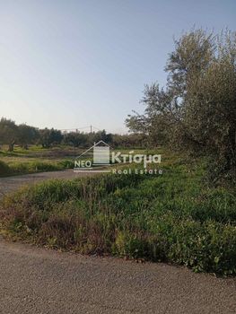 Οικόπεδο 16.563τ.μ. για πώληση-Ιαρδανός » Πράσινο