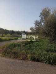 Οικόπεδο 16.563 τ.μ. για πώληση
