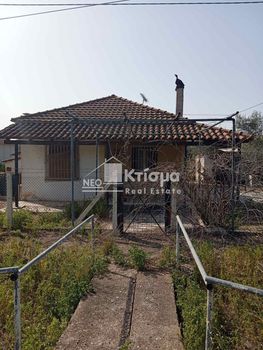 Μονοκατοικία 64τ.μ. για πώληση-Πύργος » Αλφειός
