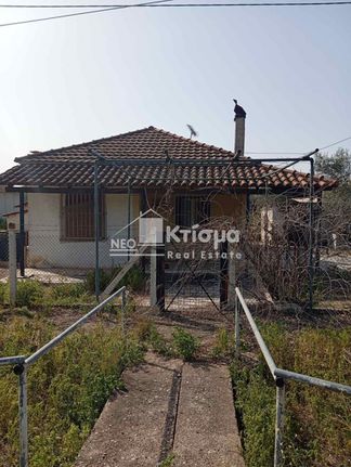 Μονοκατοικία 64 τ.μ. για πώληση, Ν. Ηλείας, Πύργος