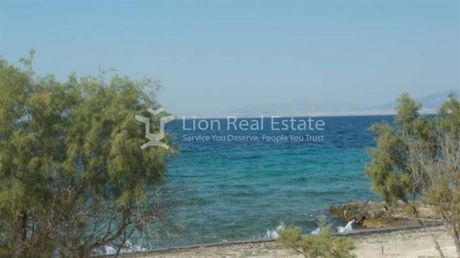 Οικόπεδο 12.500 τ.μ. για πώληση