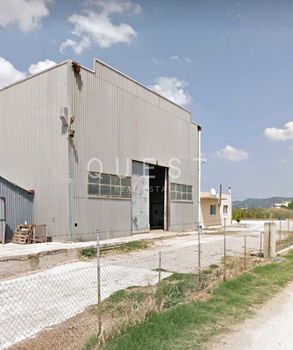 Αγροτεμάχια 10.000τ.μ. για πώληση-Τραϊανούπολη » Άνθεια