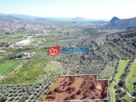 Αγροτεμάχια 4.735 τ.μ. για πώληση