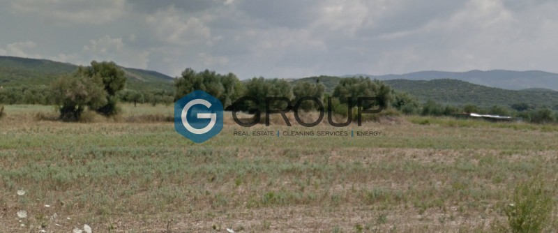 Αγροτεμάχια 5.600 τ.μ. προς πώληση, Δίκελλα