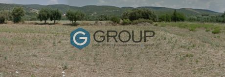 Parcel 5.600sqm for sale-Alexandroupoli » Dikella
