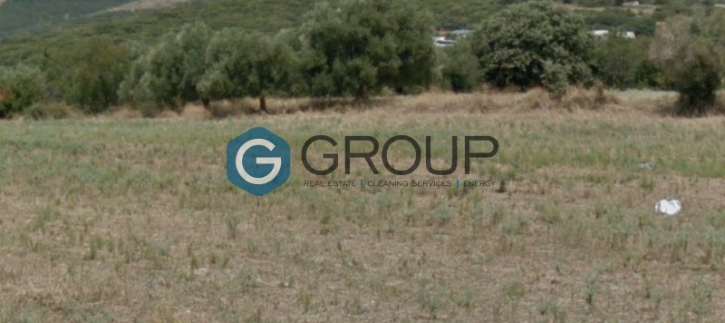 Αγροτεμάχια 5.600 τ.μ. προς πώληση, Δίκελλα