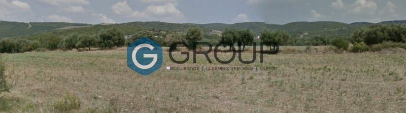 Αγροτεμάχια 5.600 τ.μ. προς πώληση, Δίκελλα