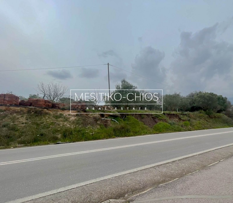 Οικόπεδο 940,50 τ.μ. προς πώληση, Άγιος Μηνάς Χίου