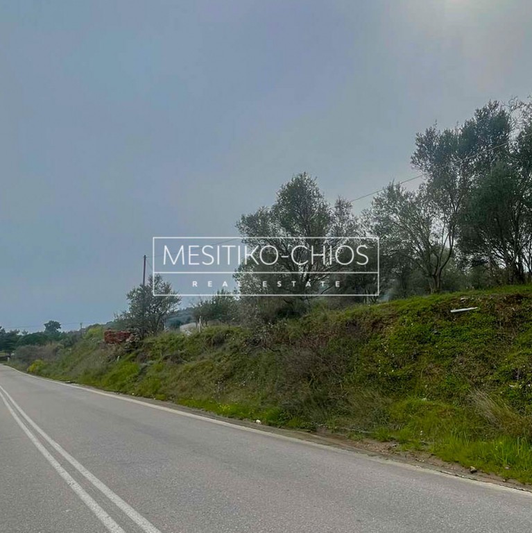 Οικόπεδο 940,50 τ.μ. προς πώληση, Άγιος Μηνάς Χίου