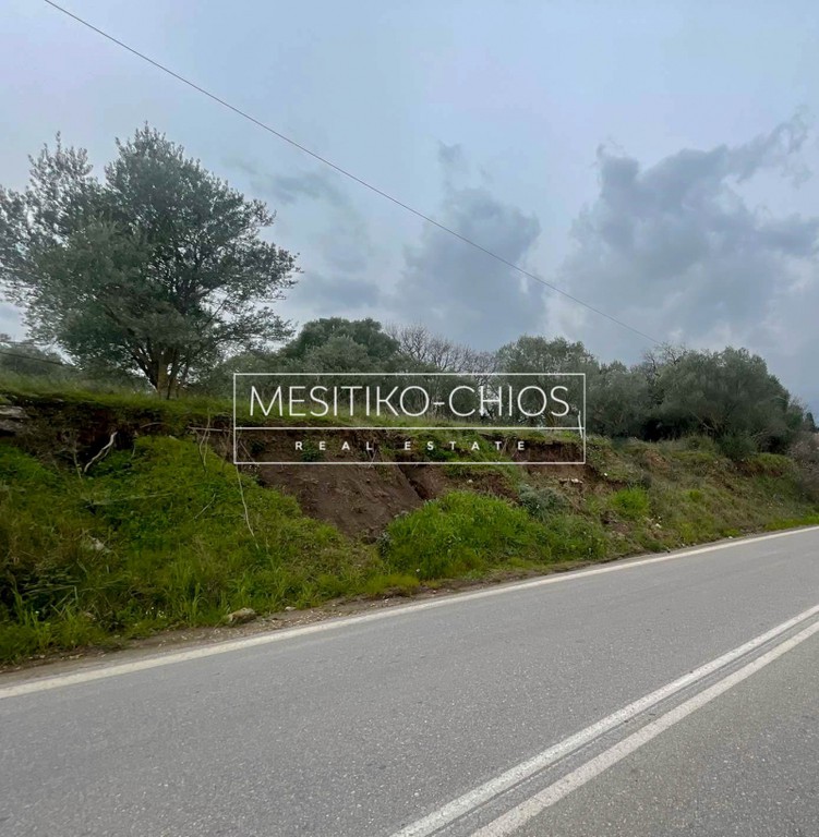 Οικόπεδο 940,50 τ.μ. προς πώληση, Άγιος Μηνάς Χίου