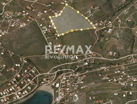 Αγροτεμάχια 24.000 τ.μ. πρός πώληση