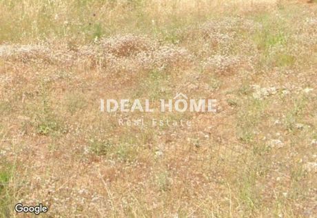 Land plot 350 sqm for sale