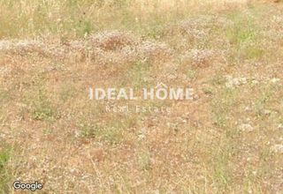 Land plot 350 sqm for sale