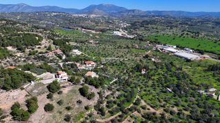 Αγροτεμάχια 4.060 τ.μ. για πώληση, Αργολίδα, Κρανίδι-thumb-5