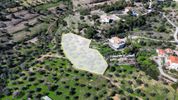 Αγροτεμάχια 4.060τ.μ. για πώληση-Κρανίδι