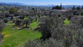Αγροτεμάχια 4.060 τ.μ. για πώληση, Αργολίδα, Κρανίδι-thumb-4