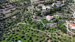 Αγροτεμάχια 4.060 τ.μ. για πώληση, Αργολίδα, Κρανίδι-thumb-7