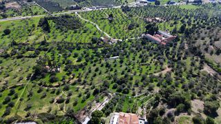 Αγροτεμάχια 4.060 τ.μ. για πώληση, Αργολίδα, Κρανίδι-thumb-10