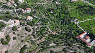 Αγροτεμάχια 4.060 τ.μ. για πώληση, Αργολίδα, Κρανίδι-thumb-8