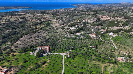 Αγροτεμάχια 8.845 τ.μ. για πώληση
