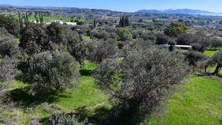 Αγροτεμάχια 8.845 τ.μ. για πώληση, Αργολίδα, Κρανίδι-thumb-9