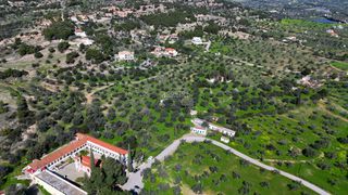 Αγροτεμάχια 8.845 τ.μ. για πώληση, Αργολίδα, Κρανίδι-thumb-14