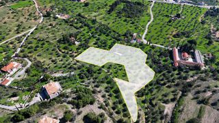 Αγροτεμάχια 8.845 τ.μ. για πώληση, Αργολίδα, Κρανίδι-thumb-1