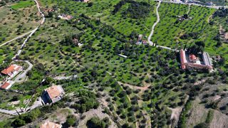 Αγροτεμάχια 8.845 τ.μ. για πώληση, Αργολίδα, Κρανίδι-thumb-19
