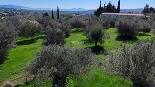 Αγροτεμάχια 8.845 τ.μ. για πώληση, Αργολίδα, Κρανίδι-thumb-11