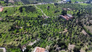 Αγροτεμάχια 8.845 τ.μ. για πώληση, Αργολίδα, Κρανίδι-thumb-17