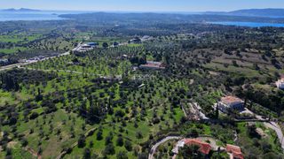Αγροτεμάχια 8.845 τ.μ. για πώληση, Αργολίδα, Κρανίδι-thumb-16