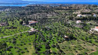 Αγροτεμάχια 8.845 τ.μ. για πώληση, Αργολίδα, Κρανίδι-thumb-15