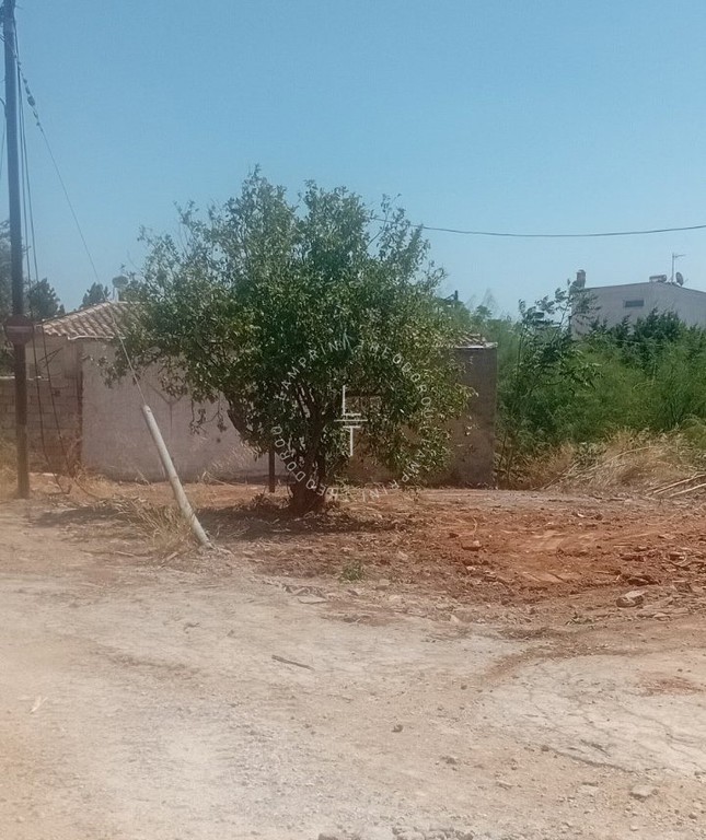 Οικόπεδο 351 τ.μ. προς πώληση, Κατασκηνώσεις Αρτέμιδας