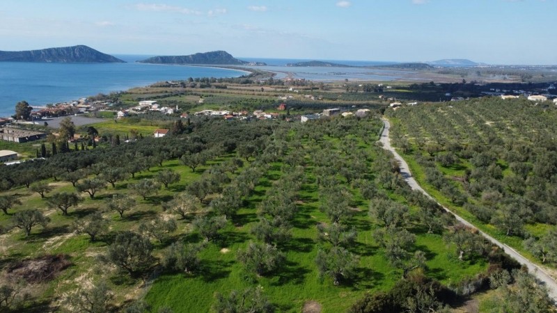 Οικόπεδο 1.770 τ.μ. προς πώληση, Γιάλοβα