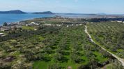 Land plot 1.770sqm for sale-Pilos » Gialova