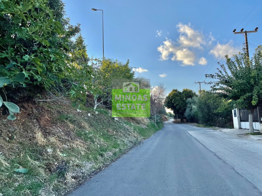 Οικόπεδο 4.657 τ.μ. προς πώληση, Τσικαλαριά Σούδας