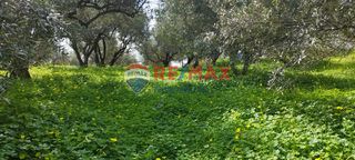 Οικόπεδο 1.161 τ.μ. πρός πώληση, Ν. Χανίων, Πλατανιάς-thumb-8