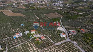 Οικόπεδο 1.161 τ.μ. πρός πώληση, Ν. Χανίων, Πλατανιάς-thumb-14