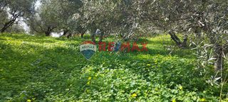 Οικόπεδο 1.161 τ.μ. πρός πώληση, Ν. Χανίων, Πλατανιάς-thumb-7